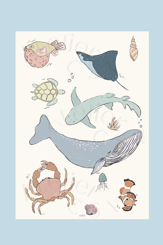 Sea life Print